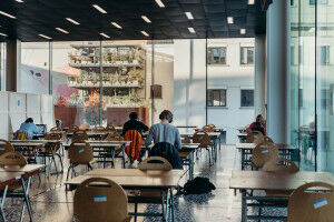 Eerste hulp bij examenstress: tips voor de blok