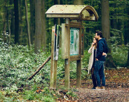 Environment - VUB calls on public to come hiking in Sonian Forest: Help us map the forest s hidden past - VUB VUB calls on public to come hiking in Sonian Forest: Help us map the forest s h